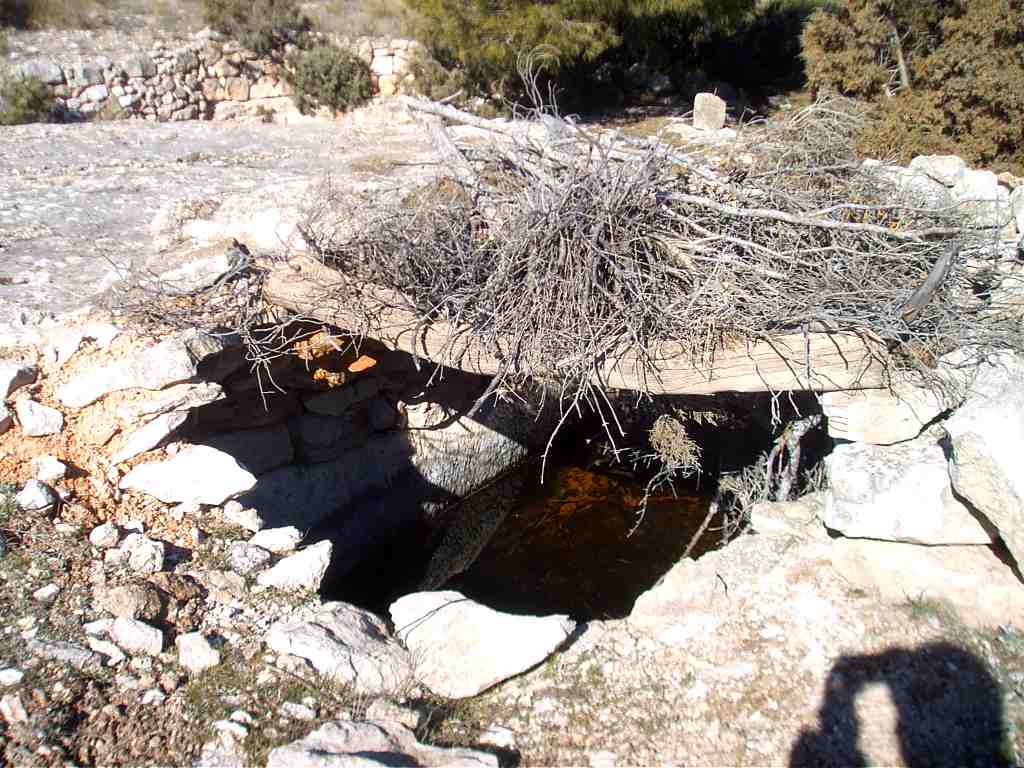 Charca Cerro la Cueva (2).JPG